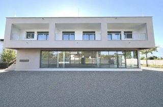 Wohnung mieten in 6890 Lustenau, NEUBAU: Attraktive 3-Zimmer-Wohnung in Grenznähe