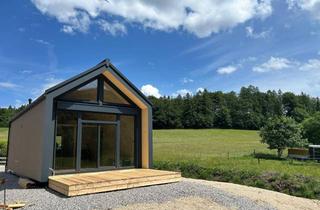 Haus mieten in Widingerweg, 5340 Sankt Gilgen, Erstbezug in St. Gilgen: Modernes Tiny House mit 60 m², Garten, Terrasse und Zwölferhornblick