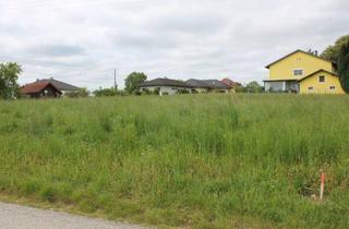 Grundstück zu kaufen in 4064 Kirchstetten, Baugrundstück - 559m² Oftering, Kirchstetten