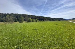 Grundstück zu kaufen in 8954 Tipschern, Baugrundstück nähe Schladming!