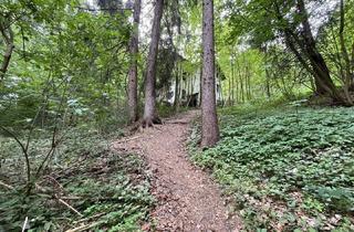 Grundstück zu kaufen in 6020 Amras, Waldgrundstück mit Altbestand in Amras