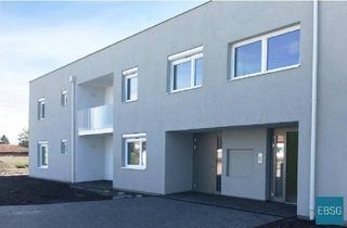Wohnung mieten in Urbarialgasse WE 2, 7151 Wallern im Burgenland, 2-Zimmerwohnung im EG mit Garten