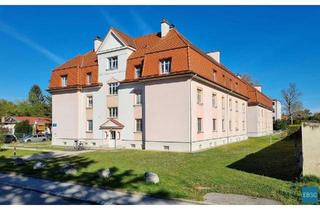 Wohnung mieten in Hofgrabengasse WE 31+32, 2490 Ebenfurth, 3.Zimmerwohnung im 1.OG