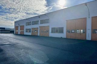 Büro zu mieten in 3100 Sankt Pölten, Halle I ca. 780m² I St.Pölten Süd