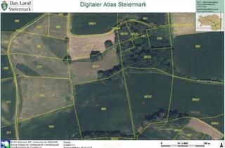 Grundstück zu kaufen in 8354 Aigen, Vielseitiges Grundstück mit Landwirtschaftsfläche, Wald und Baupotenzial in Aigen