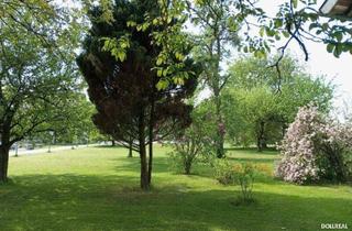 Grundstück zu kaufen in 5204 Straßwalchen, STEINDORF BEI STRASSWALCHEN: "Obstgarten 1" - sonnige Bauparzelle