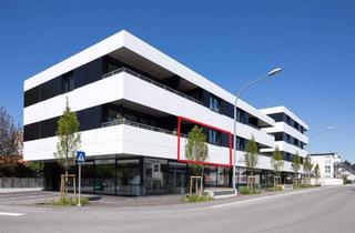 Wohnung mieten in Radetzkystraße 20, 6890 Lustenau, Modern, hell & gut gelegen: 2-Zimmerwohnung mit Balkon in Lustenau zu vermieten!