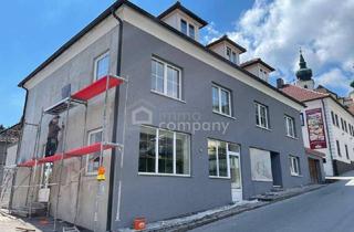 Einfamilienhaus kaufen in 3661 Artstetten, Großes Mehrfamilienhaus in Artstetten, 17 Zimmer, Garten, Garagen, Top Ausstattung!