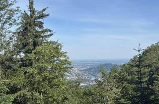 Haus kaufen in 5061 Gfalls, ERENTRUDISALM/BERGHAUS GFALLS: Gemütliches Berghaus mit einzigartigem Blick auf Salzburg (Zweitwohnsitzwidmung)