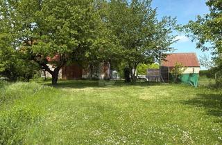 Bauernhäuser zu kaufen in 7444 Unterloisdorf, Teilsaniert mit Grossem Sonnigen Garten U. Stadl - 2 Zufahrten