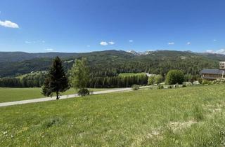 Grundstück zu kaufen in Mönchegg, 8742 Obdach, Baugrundstück mit Panoramaaussicht im Idyllischen St. Wolfgang