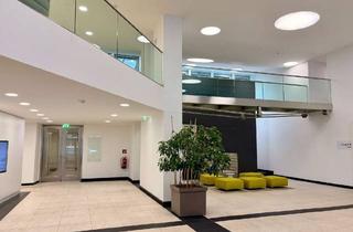 Büro zu mieten in Operngasse 17-21/8.2., 1040 Wien, Top-Adresse 1010 Wien: Repräsentatives Arbeiten in der Operngasse