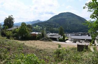 Grundstück zu kaufen in 3340 Waidhofen an der Ybbs, Exklusiver Südhang-Baugrund in Absoluter Ruhelage