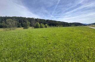 Grundstück zu kaufen in 8954 Tipschern, Baugrundstück Nähe Schladming!
