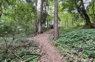 Grundstück zu kaufen in 6020 Amras, Waldgrundstück mit Altbestand in Amras