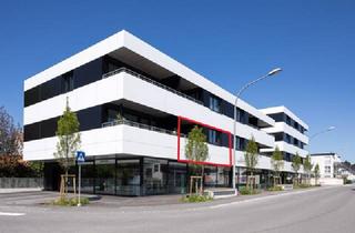 Wohnung mieten in 6890 Lustenau, Modern, hell & gut gelegen: 2-Zimmerwohnung mit Balkon in Lustenau zu vermieten!