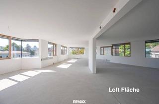 Loft kaufen in 2340 Mödling, Loft-Etage (unausgebaut) in Mödling, 188m² – Top Lage!