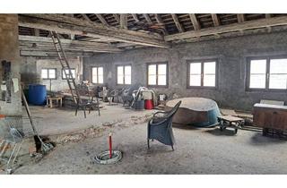 Loft kaufen in 4400 Steyr, ROHDACHBODEN MIT DACHTERRASSE IM KÜNSTLERVIERTEL VON STEYR