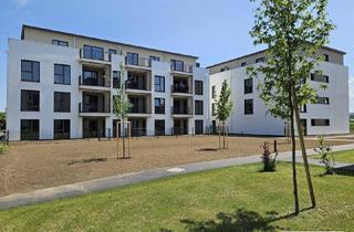 Wohnung mieten in Felix Iribauer-Straße, 3200 Ober-Grafendorf, Ideal für Singles: westseitige Dachgeschoßwohnung mit großer Terrasse inkl. Küche - inkl. PKW-Stellplatz – Neubau! Erstbezug! - Nähe St. Pölten