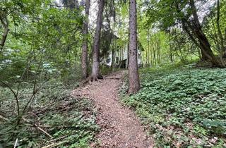 Grundstück zu kaufen in 6020 Innsbruck, Waldgrundstück mit Altbestand in Amras