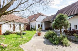 Haus kaufen in 3494 Gedersdorf, ökologisch kernsanierter Winzerhof mit eigenem Bürotrakt, Weinkeller und bezauberndem Innenhof