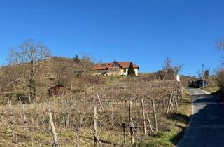 Grundstück zu kaufen in 3500 Krems an der Donau, Sonniges Baugrundstück in erhöhter Aussichtslage - ländliches Flair - städtische Infrastruktur!