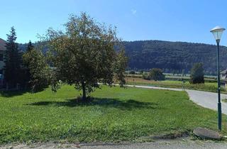 Grundstück zu kaufen in Weinserstraße, 3681 Hofamt Priel, Großes Baugrundstück in sonniger Traumlage mit Donaublick nahe Ybbs a.d. Donau. Kein Bauzwang!