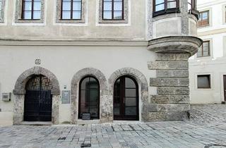 Gewerbeimmobilie kaufen in 4400 Steyr, SANIERTES GESCHÄFTSLOKAL IM STEYRDORF