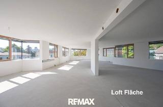 Loft kaufen in 2340 Mödling, Loft-Etage (unausgebaut) in Mödling, 188m² – Top Lage!