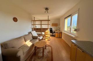 Wohnung mieten in Am Kaisermühlendamm 103, 1220 Wien, Direkt am Wasser - möblierte sonnige Kleinwohnung mit einem wunderbaren Panoramablick über die Donauinsel, 22 Bezirk