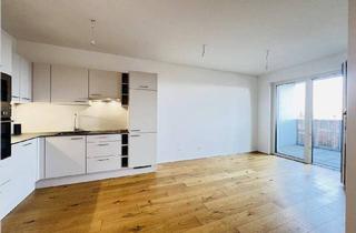 Wohnung mieten in Willi-Gruber-Straße, 3100 Sankt Pölten, Q11 - Gemütliches Zuhause zwischen Stadtzentrum und Fluss
