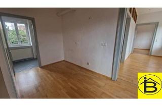 Büro zu mieten in 3100 Sankt Pölten, 15529 Gepflegtes Innenstadtbüro!