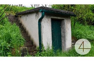 Haus kaufen in 3701 Großweikersdorf, Weinkeller im Höllgraben 3701 Großweikersdorf