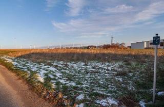 Grundstück zu kaufen in 7100 Neusiedl am See, 807 m² großes Baugrundstück in ruhiger Wohnlage von Neusiedl am See