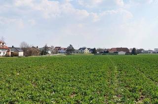 Grundstück zu kaufen in 2301 Franzensdorf, Mehrere Baugrundstücke in Franzensdorf bei Groß-Enzersdorf – ab ca. 741 m² in ruhiger Lage