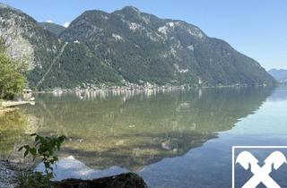 Grundstück zu kaufen in 4830 Hallstatt, Badeplatz am Hallstättersee - Wasserzuwegung