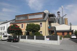 Wohnung mieten in Hauptplatz, Spar, 3542 Gföhl, 2-Zi Mietwohnung im Stadtzentrum OG Top 4