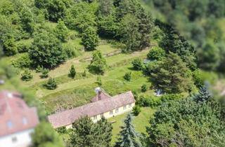 Grundstück zu kaufen in 3500 Krems an der Donau, Sonniges Baugrundstück in Krems-Alauntal - ihre Zukünftige Ruheoase?!