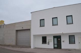 Lager mieten in Krems, St. Pölten, 3500 Krems an der Donau, Flexible Kaltlagerflächen in Verkehrsgünstiger Lage (Ca. 38 m²- Ca. 340M²)