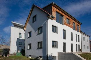 Haus kaufen in Krems, St.pölten, 3500 Krems an der Donau, Wohn- und Anlageobjekt in Krems - Großzügige Flächen, Flexible Einheiten, Rohbaupotenzial