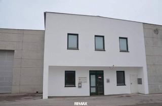 Büro zu mieten in 3500 Krems an der Donau, Flexibles Büro im OG mit Gestaltungsspielraum in Krems
