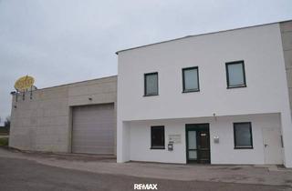 Gewerbeimmobilie mieten in 3500 Krems an der Donau, Flexible Kaltlagerflächen in verkehrsgünstiger Lage (ca. 38 m²- ca. 340m²)