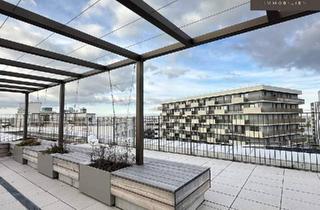 Büro zu mieten in 1220 Wien, | ROBIN | Haus B | Inspired by Nature | Dachterrasse