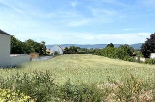 Grundstück zu kaufen in 7064 Oslip, Rarität! Großer Baugrund im malerischen Oslip - 5min zum Neusiedler See!