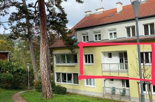 Wohnung mieten in Brühlerstrasse 75, 2340 Mödling, PRIVAT-provisionsfreie, helle, ruhige 55m2 Wohnung mit Balkon in Mödling