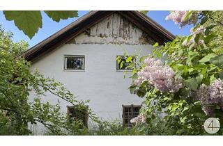 Grundstück zu kaufen in 4491 Niederneukirchen, IDYLLE PUR! Perfekte Anbindung! Bauernsacherl zum verlieben! KEIN BAUZWANG!