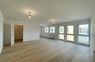Wohnung mieten in 1190 Wien, Helle 1-Zimmer-Wohnung 47m² mit Wohnküche, Badewanne & Aufzug im 19. Bezirk, Wien!