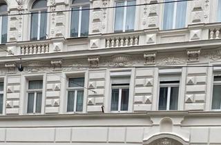 Immobilie kaufen in Währinger Straße, Votivkirche, 1030 Wien, Geschäftslokal (Vermietet) Als Investitionsobjekt, Fasanviertel