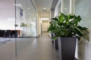 Büro zu mieten in 1230 Wien, Hsw Gewerbepark Liesing - Attraktiver Standort im Süden Wiens