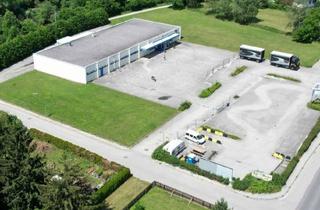 Lager mieten in Bundesstraße 20, 2563 Pottenstein, Gewerbe-/Lagerflächen in Schöner Gewerbehalle in Pottenstein Anmietbar (70 bis 280 m² Möglich)